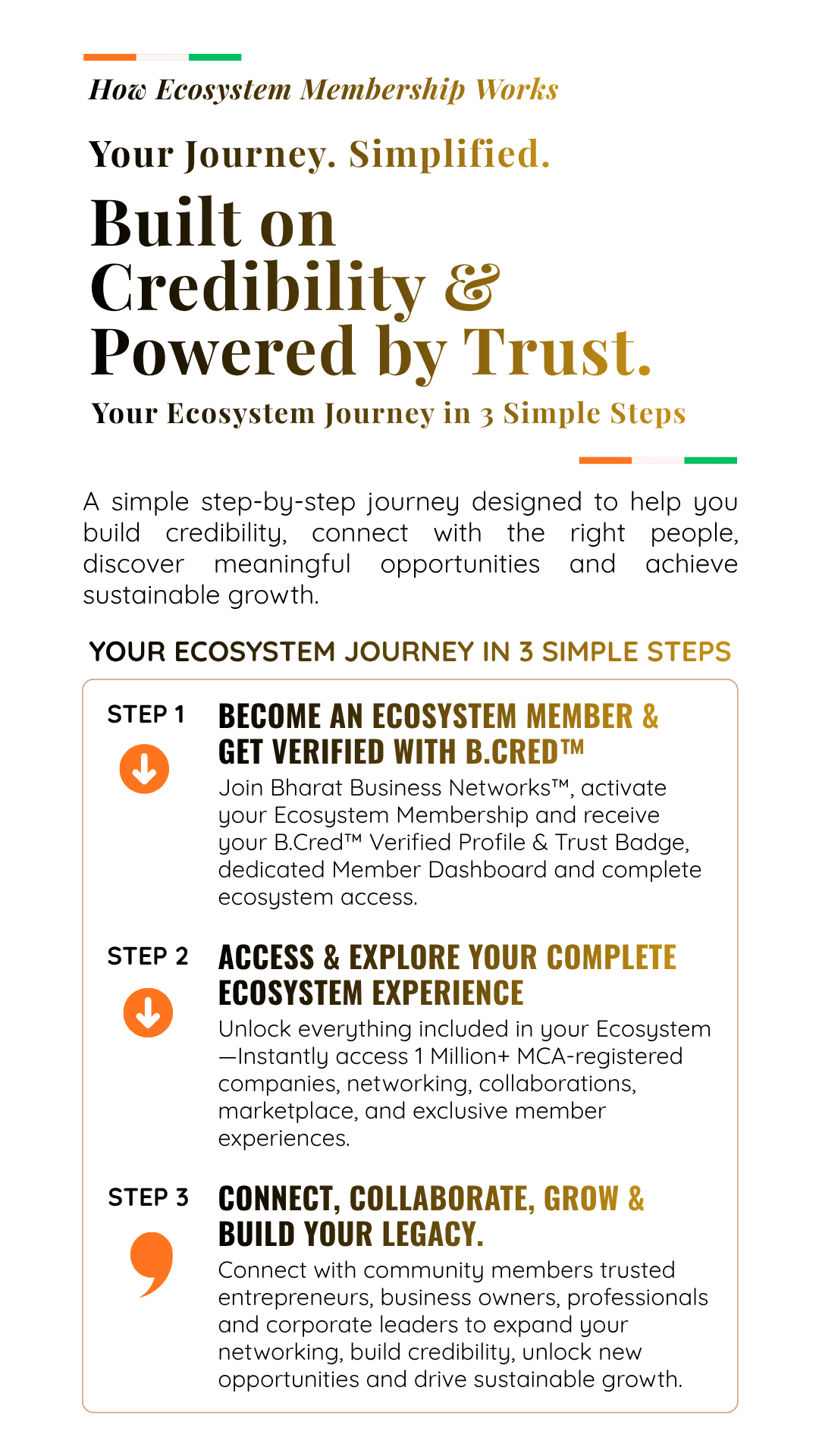 Strategic Partnerships, Sales Channels, and Buyer-Seller Networks on Bharat Business Networks